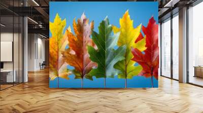 Colorful Autumn Leaves Display with Blue Background Nature, Seasonal Decor, Fall Colors for Print Wall mural