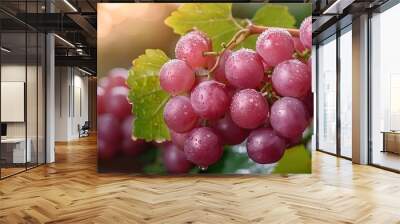 Fresh Dew-Kissed Red Grapes in Natural Sunlight for Organic Harvest Theme Wall mural