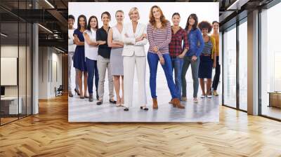 Formal or casual You decide. Full length studio of a group of happy people half wearing casual clothes and half wearing formal clothes. Wall mural