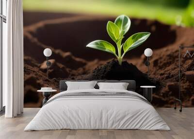 Small green plant growing in rich soil up close with blurred background Wall mural