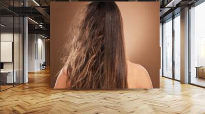 Frizz, heat damage and hair of a woman isolated on a brown background in a studio. Back, salon treatment and lady showing results from keratin treatment, before and after a hairdresser procedure Wall mural