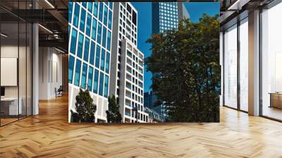 A Detail shots of skyscrapers in Frankfurt am Main with trees in the foreground Wall mural