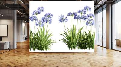 Flowers isolated on white Wall mural