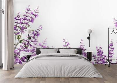 Lavender flowers isolated on white Wall mural