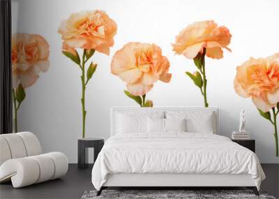 Set of apricot carnation flower branch on white background
 Wall mural