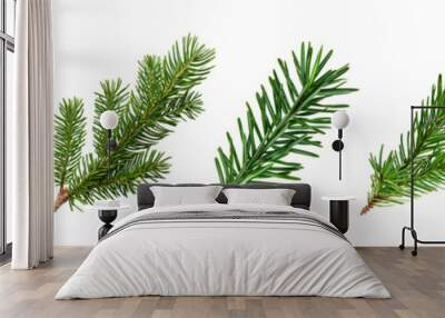 Set of christmas pine leaf branches isolated on white Wall mural