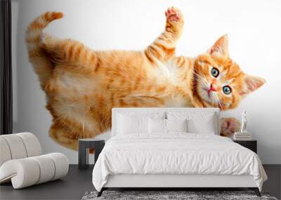 Top view cute cat isolated on white background Wall mural