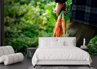 Bunch of freshly picked homegrown organic carrot in men's farmer hand on a vegetable garden close-up with copy space.Rustic style.Healthy food concept.Horizontal orientation Wall mural