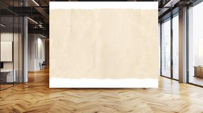 Old paper texture background. Horizontal banner Wall mural