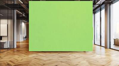 Pale green paper texture background Wall mural