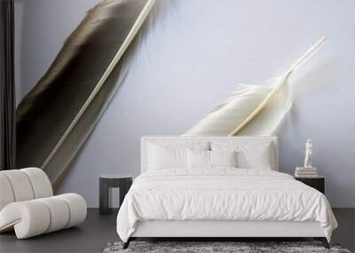 Two feathers on light gray background Wall mural