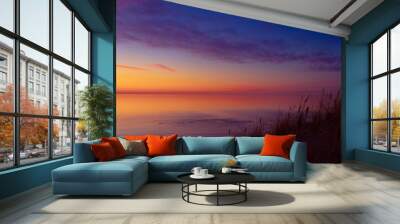 A beautiful early spring landscape of Baltic Sea beach with grass silhouettes against the colorful sky. Natural scenery of Northern Europe. Wall mural