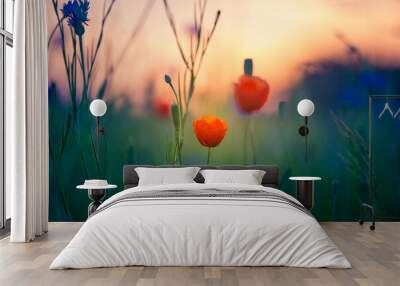 A beautiful summer field with red poppy flowers. Summer scenery with flowers in the cultivated field in Northern Europe. Wall mural