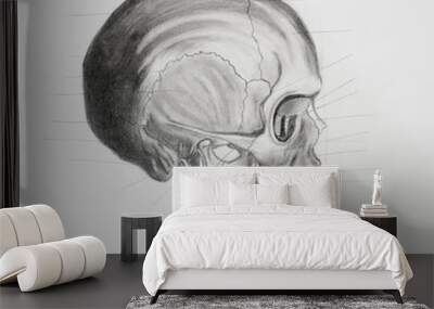 side view of human skull. medical illustration Wall mural