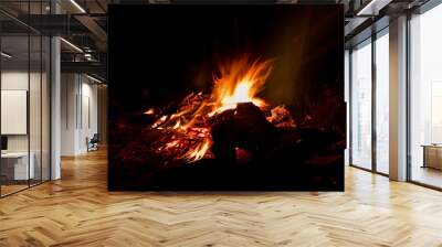 slow speed of burning wood fire in the dark Wall mural