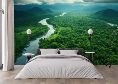 Aerial view of the Amazon rainforest landscape with a river bend and a small canal in the green forest. Wall mural