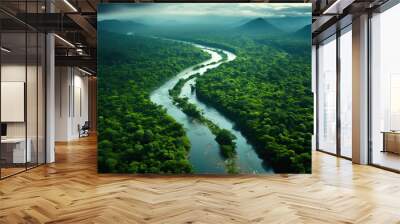 Aerial view of the Amazon rainforest landscape with a river bend and a small canal in the green forest. Wall mural