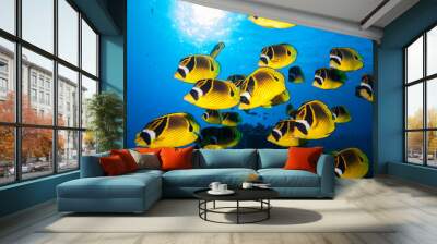 School of bright yellow fish swim past the camera in blue tropical water Wall mural