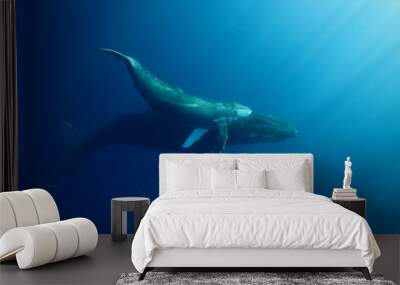 Underwater encounter with a mom and calf humpback whale in clear blue tropical water Wall mural