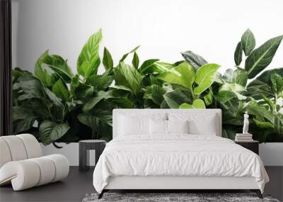 green leaves without background Wall mural