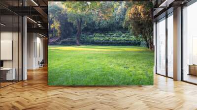 Summer lawn at sunset Wall mural