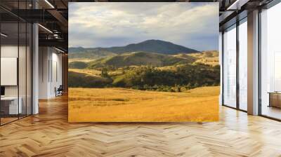 Golden Grass Wall mural