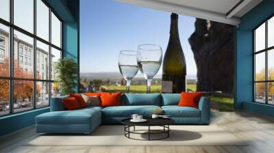 two glasses of white wine Wall mural