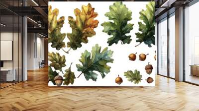 Collection of brown oak leaves and acorns, isolated on white background, autumn nature elements. Wall mural