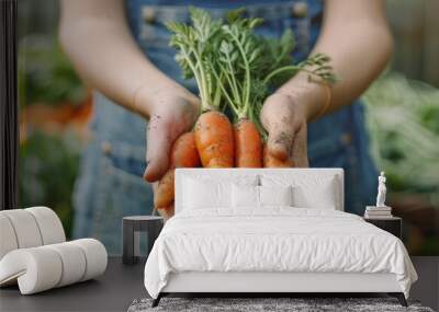 Hands holding fresh carrots, freshly picked from a bio farm or garden. Wall mural