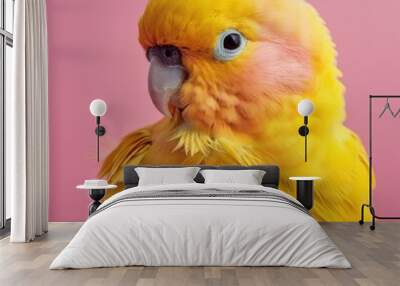 Vibrant yellow parrot with pink accents, posed against a soft pink backdrop. Free copy space for text. Wall mural