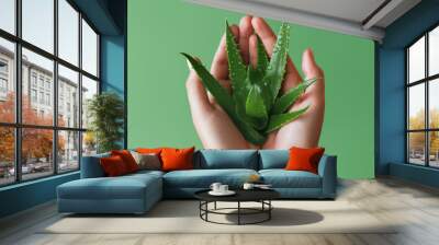 Hands with aloe vera. Generative AI. Wall mural