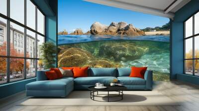 Atlantic ocean seascape, rocks with seagulls on the seashore and fish underwater, natural scene, split view half over and under water surface, Spain, Galicia, Rias Baixas Wall mural