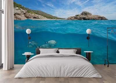 Beach and rock with fish and sand underwater, Mediterranean sea, split view half above and below water surface, Spain, Costa Dorada, Platja Del Torn, l'Hospitalet de l'Infant, Tarragona, Catalonia Wall mural