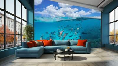 Cloudy blue sky and a shoal of tropical fish with coral underwater, split view above and below water surface, Rangiroa, Tuamotus, Pacific ocean, French Polynesia Wall mural