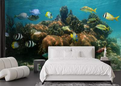 Coral reef underwater panorama with colorful tropical fish, Caribbean sea Wall mural