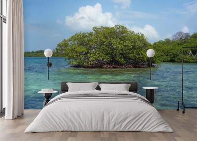 Islet of mangrove tree in the Caribbean sea Wall mural