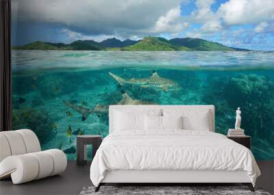 Over under sea surface sharks with tropical fish underwater and island of Huahine, Pacific ocean, French Polynesia
 Wall mural