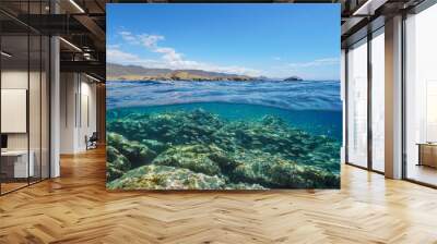 Spain Cabo de Gata Nijar coast with school of fish and rocky seabed underwater, Mediterranean sea, Almeria, Andalusia, split view half over and under water Wall mural