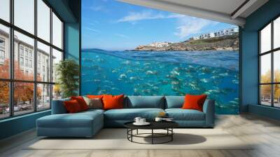 Spain coastline with buildings near L'Escala town and a school of fish underwater, Mediterranean sea, Costa Brava, Catalonia, split view half over and under water Wall mural