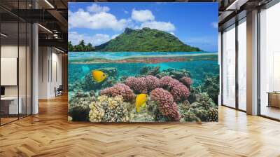 Split image above and below water surface, landscape of Huahine island with coral and tropical fish underwater, Pacific ocean, French Polynesia Wall mural