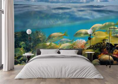 Split view underwater coral reef and cloud Wall mural