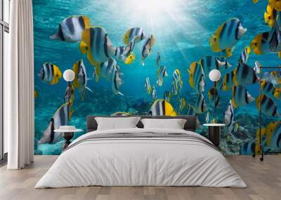 Tropical fish with sunlight underwater in the pacific ocean (shoal of Pacific double-saddle butterflyfish), French Polynesia Wall mural