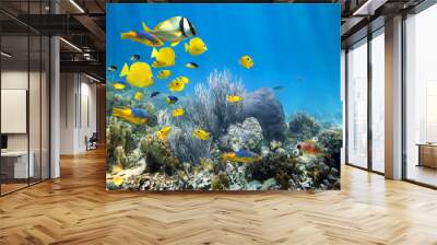 underwater coral reef with school of fish Wall mural