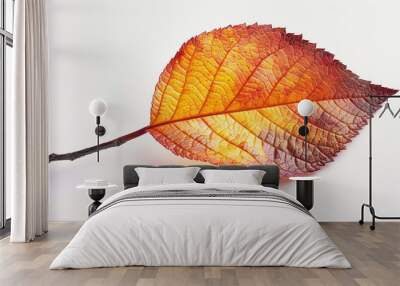 A single, vibrant autumn leaf stands out against a stark white background, highlighting its rich colors and intricate details, a true representation of autumn’s simplicity and beauty. Wall mural