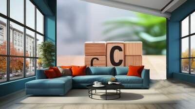 CCS (Carbon Capture and Storage) on wooden blocks on environment background. Wall mural