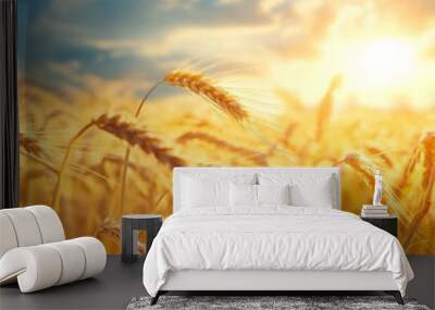 field of wheat under the sun Wall mural