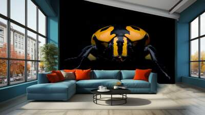 macro photo of yellow beetle with black Wall mural