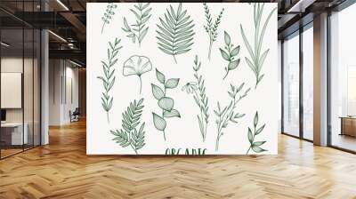 Plant nature hand drawn set. Collection botanical element. Wall mural