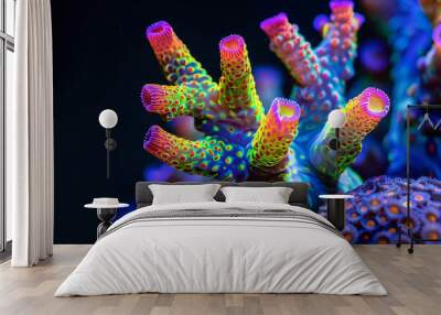 neon colourful coral isolated on black  Wall mural