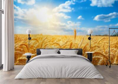 wheat field and sky Wall mural